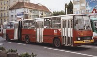 autobus Ikarus
